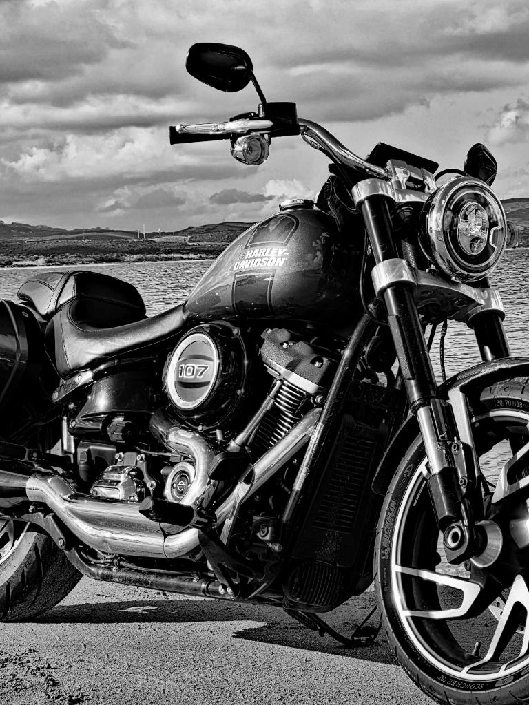 Wild Winds and Rock ’n’ Roll: A Morning Ride Between Ventimiglia and Monaco
