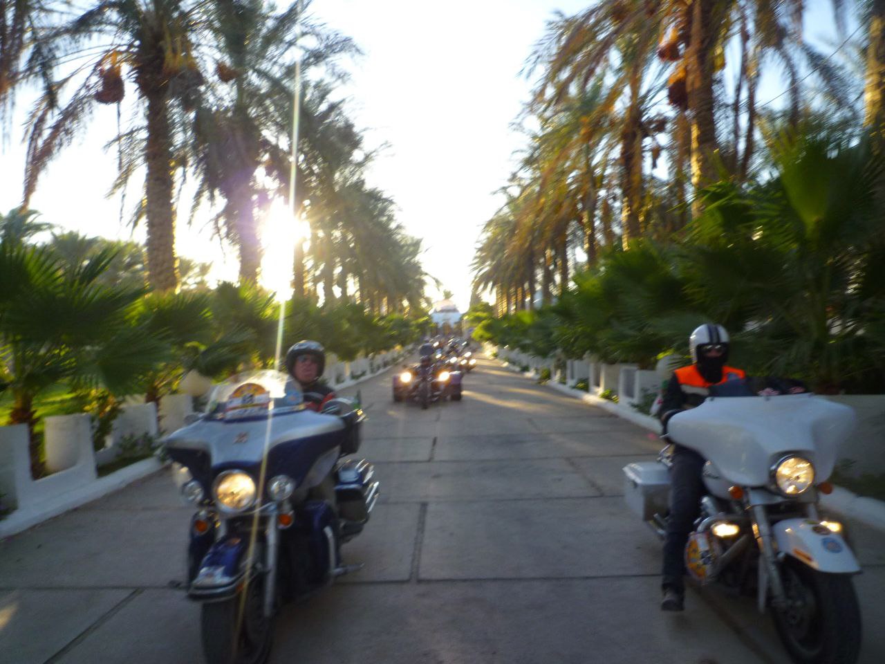 Riding Through Syria’s Palm-Lined Roads: A Journey of Friendship and Discovery