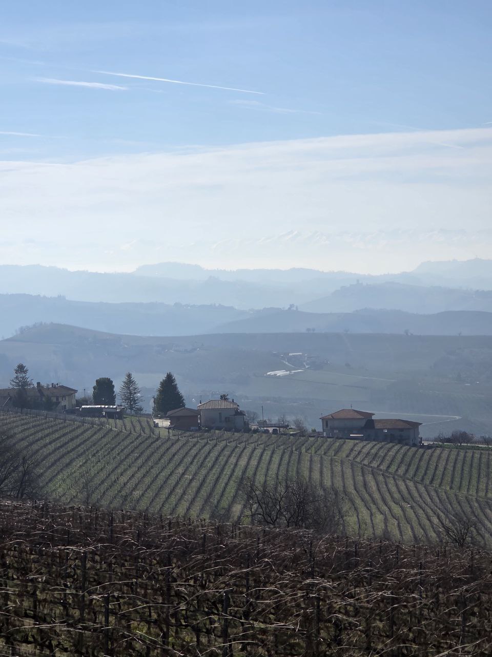 Curve, Flavors, and Freedom: A Day Riding Through the Langhe